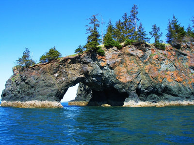 The Arch, located at the west end of Halibut Cove, Alaska. This natural rock formation narrows to two feet wide, yet the top is covered in trees and other vegetation. 