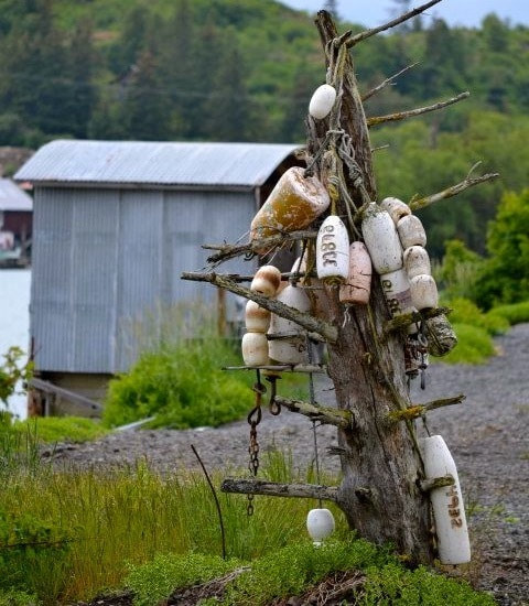 A collection of old bouys dangling from a weathered old spruce stump, that is buried in the isthmus - which is a long, gravel beach that connects each end of the island.