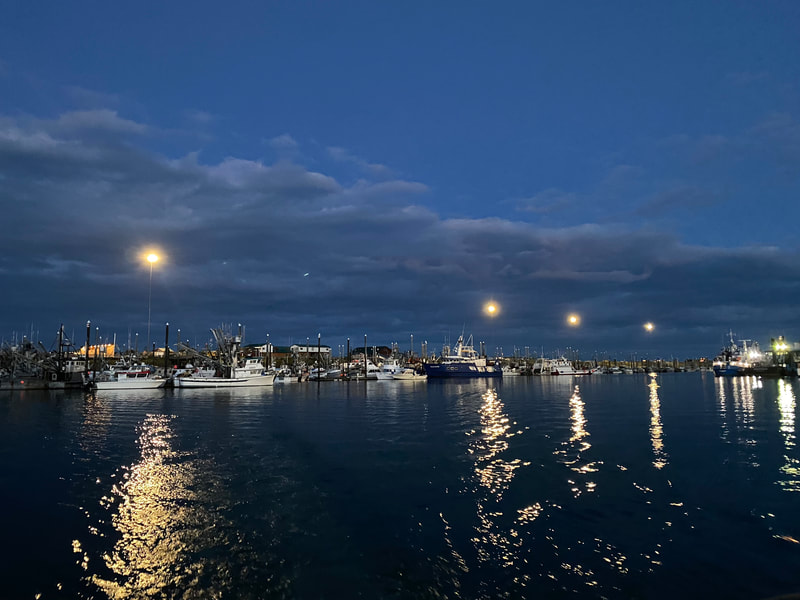 The Homer Harbor lights reflecting over the boats and across the water at dusk. 