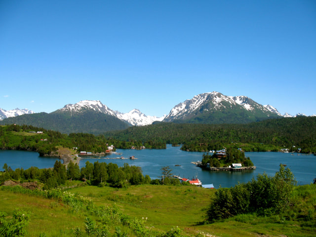A view from the top of the West end of Ismailof Island, looking down on the community of Halibut Cove. The blue of the sky matches the water, the vegetation is dark green, and the snow-capped mountains of the Kachemak Bay State Park are in the background.